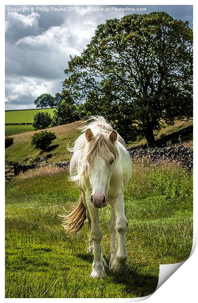 White Horse in the Peak District Print by Philip Pound