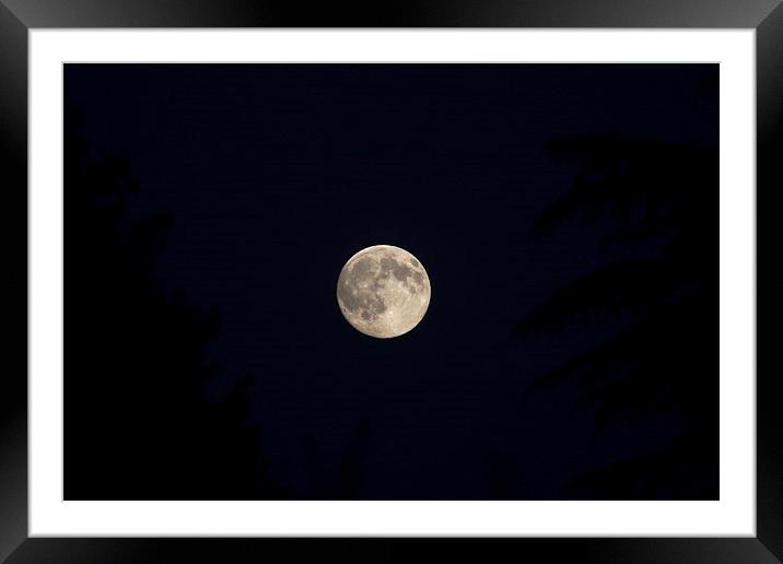  Twilight Moon Framed Mounted Print by Caroline Hillier