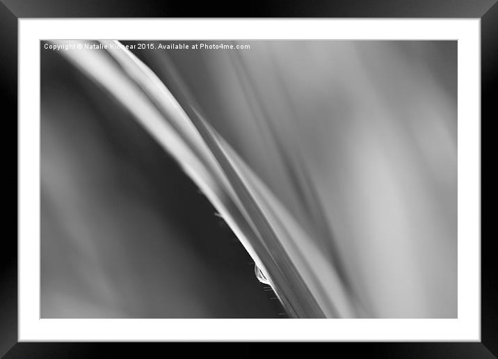 Black and White Abstract - Sole Waterdrop in Grass Framed Mounted Print by Natalie Kinnear