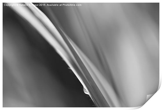 Black and White Abstract - Sole Waterdrop in Grass Print by Natalie Kinnear