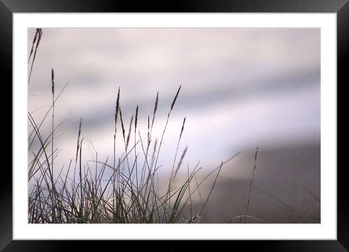 Grass Framed Mounted Print by Steven Day