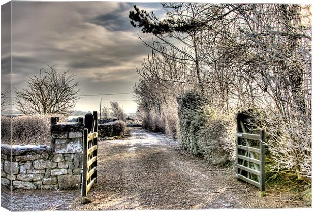Cottage gate Canvas Print by Andreas Hartmann