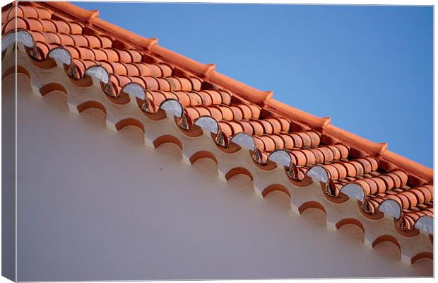 Roof tiles Canvas Print by Alan Pickersgill