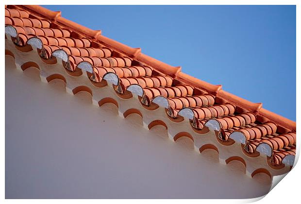 Roof tiles Print by Alan Pickersgill