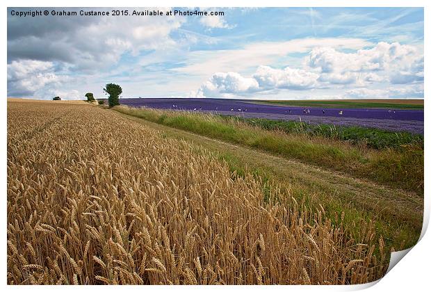 Colours of the Countryside Print by Graham Custance