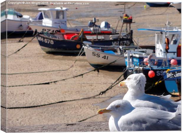 Seagulls of St Ives Canvas Print by WrightAngle Photography