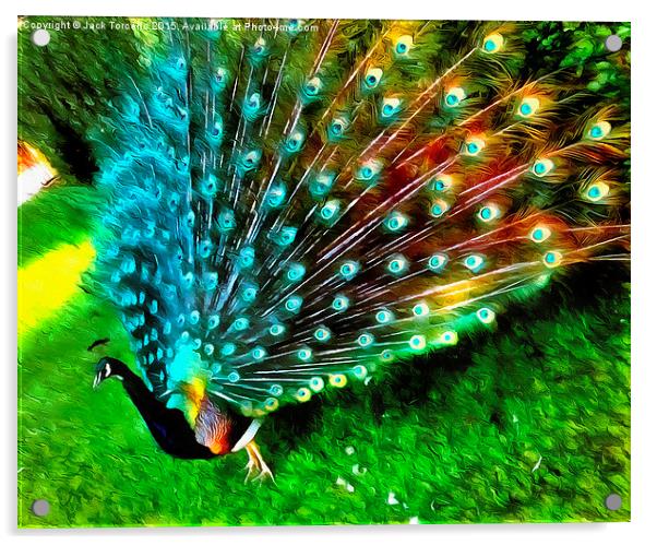  Peacock in Splendour! Acrylic by Jack Torcello