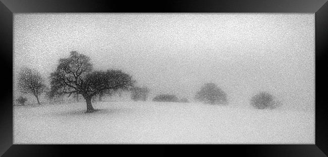 A Winters Scene Framed Print by Mike Sherman Photog