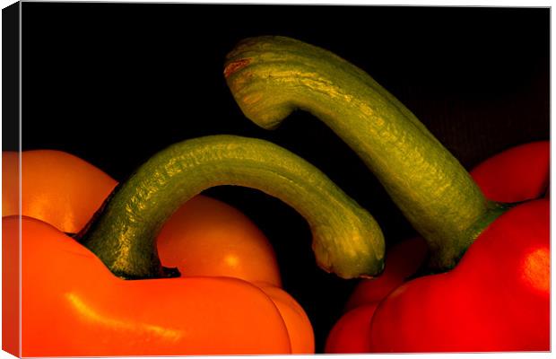 Peppers Canvas Print by Mike Sherman Photog