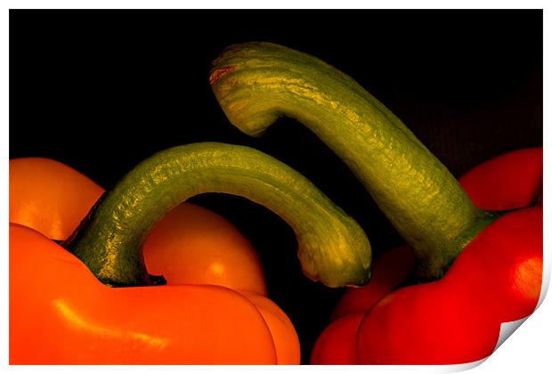 Peppers Print by Mike Sherman Photog