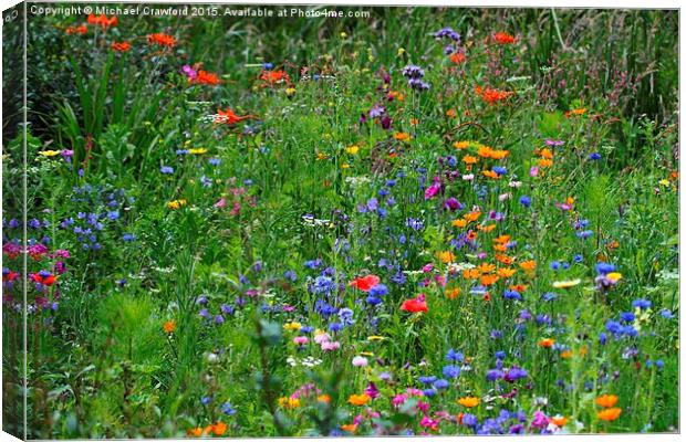   Wild flowers at Wetland Centre, Middlesex Canvas Print by Michael Crawford