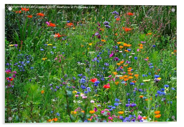   Wild flowers at Wetland Centre, Middlesex Acrylic by Michael Crawford