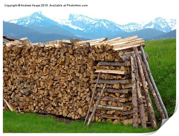  Austrian Wood Pile Print by Andrew Heaps