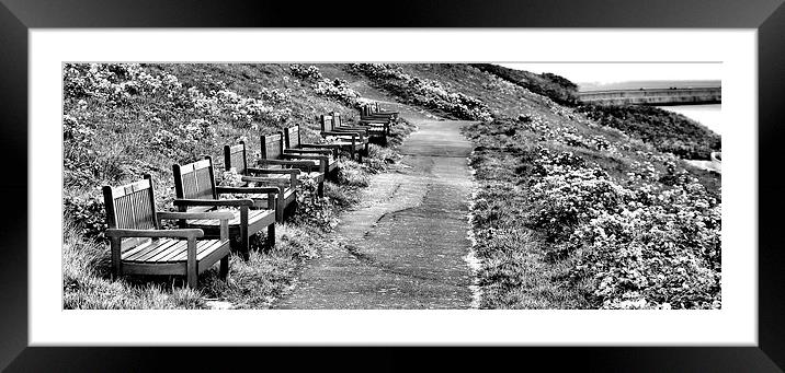  Benches Framed Mounted Print by Alexander Perry