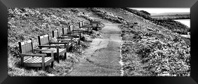  Benches Framed Print by Alexander Perry