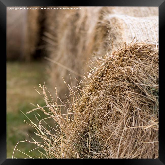  Hay bales Framed Print by Claire Castelli