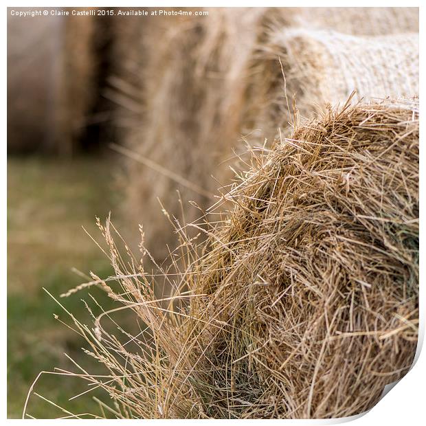  Hay bales Print by Claire Castelli