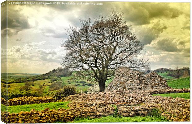  Branching Out Of The Castle Ruins Canvas Print by Marie Castagnoli