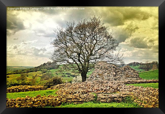  Branching Out Of The Castle Ruins Framed Print by Marie Castagnoli