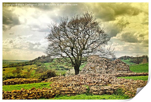  Branching Out Of The Castle Ruins Print by Marie Castagnoli
