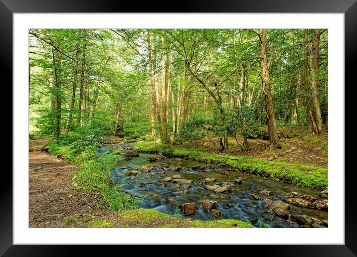 Lonely Creek Framed Mounted Print by Sarah Ball