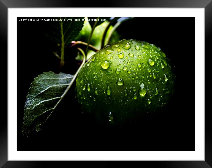 After The Rain Framed Mounted Print by Keith Campbell