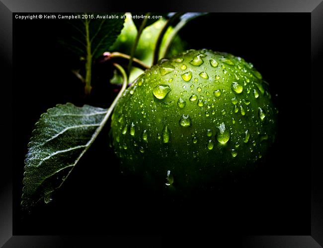 After The Rain Framed Print by Keith Campbell