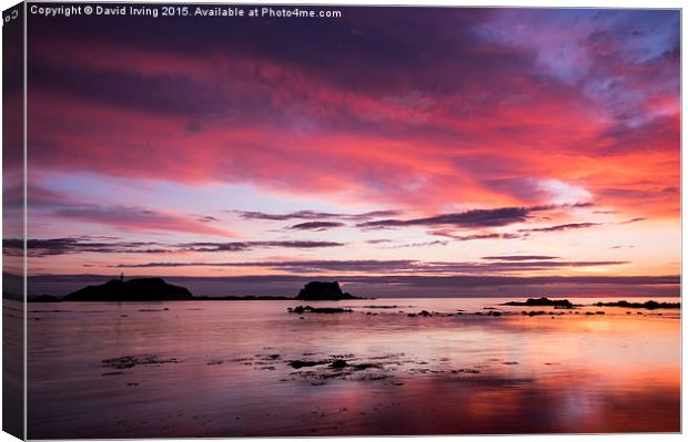 Sunrise over the Island of Fidra East Lothian  Canvas Print by David Irving