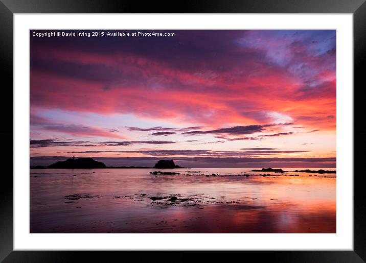 Sunrise over the Island of Fidra East Lothian  Framed Mounted Print by David Irving