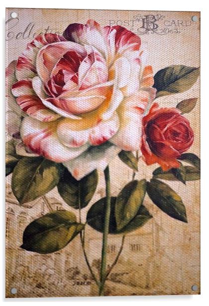 Textured Rose on textured background Acrylic by Sue Bottomley