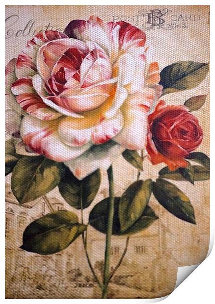 Textured Rose on textured background Print by Sue Bottomley