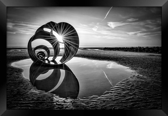 Mary's Shell Black and White Framed Print by Gary Kenyon