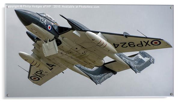 de Havilland Sea Vixen XP924 " Foxy Lady" B Acrylic by Philip Hodges aFIAP ,