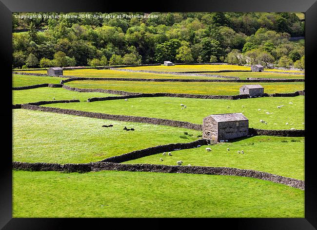 Gunnerside meadows Framed Print by Graham Moore