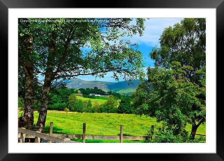 Naddle Valley in the Lake District Framed Mounted Print by Gisela Scheffbuch