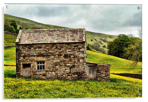 Muker Barn Acrylic by Sandi-Cockayne ADPS