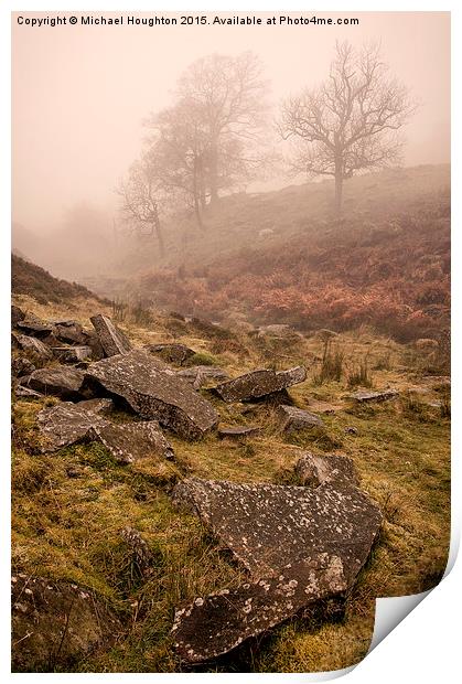 Misty morning at Bronte Falls Print by Michael Houghton