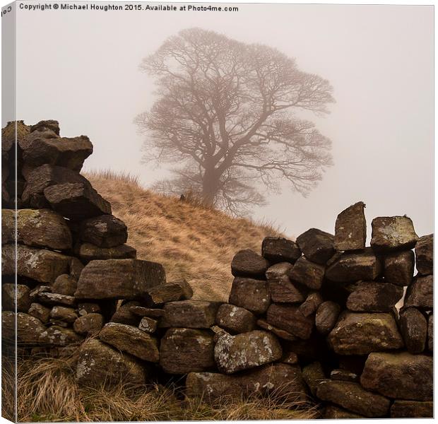 Bronte Tree Canvas Print by Michael Houghton