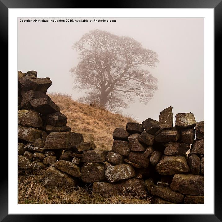 Bronte Tree Framed Mounted Print by Michael Houghton