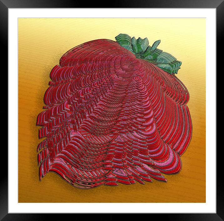Large Strawberry Scallop Framed Mounted Print by Mark Sellers