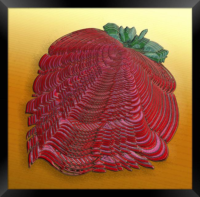 Large Strawberry Scallop Framed Print by Mark Sellers