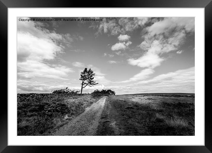  Tree on the moor Framed Mounted Print by richard sayer