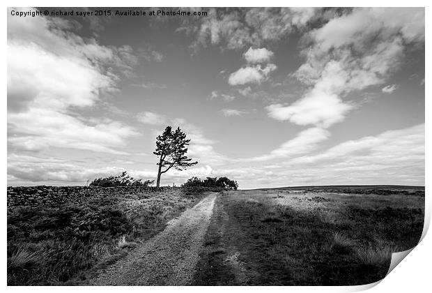  Tree on the moor Print by richard sayer