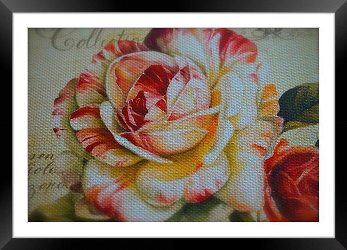  Large Textured Rose Flower Framed Mounted Print by Sue Bottomley