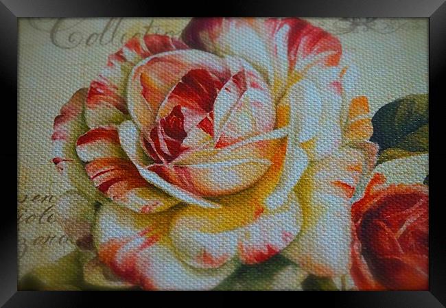 Large Textured Rose Flower Framed Print by Sue Bottomley