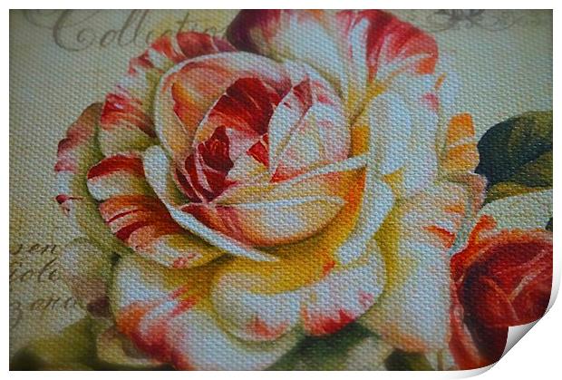  Large Textured Rose Flower Print by Sue Bottomley