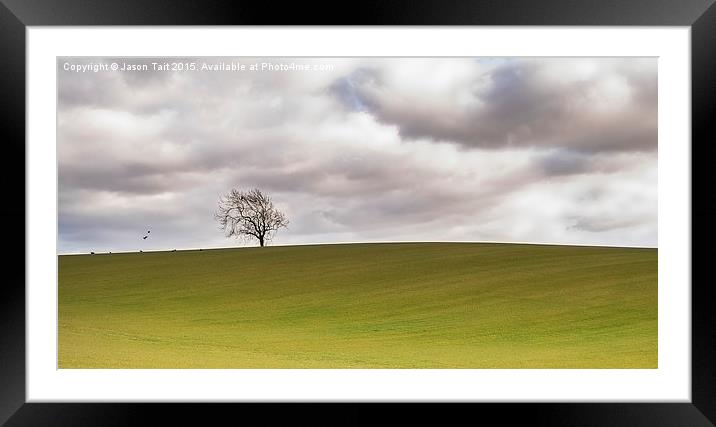 Lonely Tree Framed Mounted Print by Jason Tait
