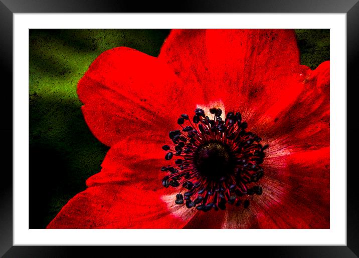  Red Framed Mounted Print by Gary Schulze