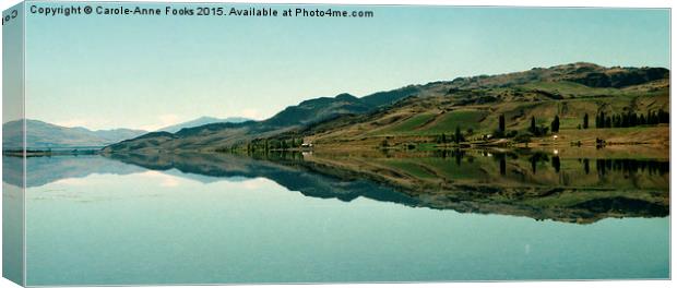  Cromwell Dam Reflections, New Zealand Canvas Print by Carole-Anne Fooks