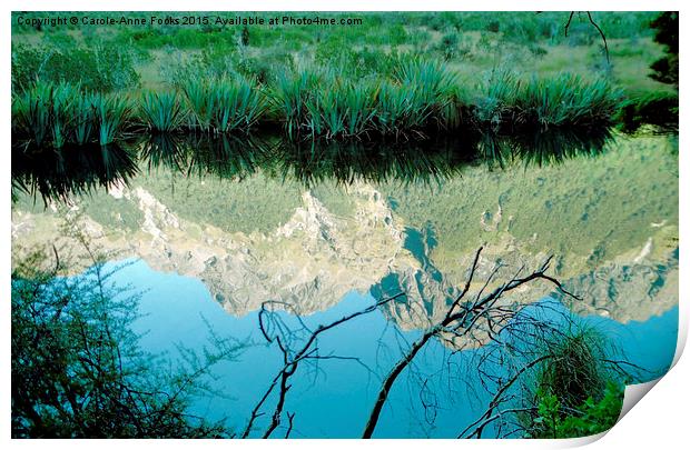  Mirror Lakes #2, New Zealand Print by Carole-Anne Fooks